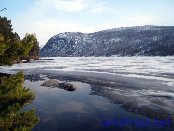 Norway frozen lake