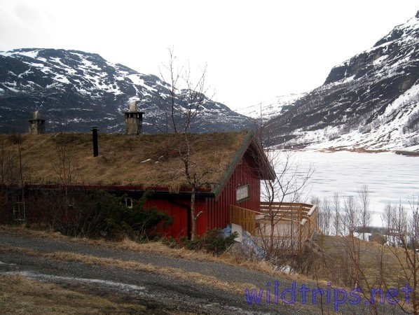 Frozen lake and hut