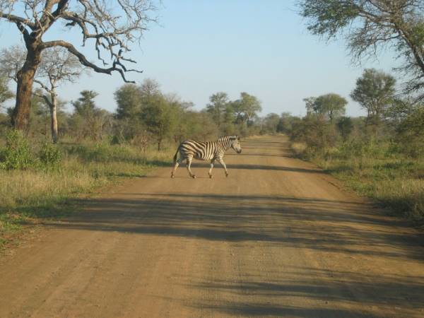 Voyage en Afrique du Sud