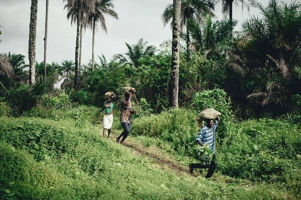 Voyage en Sierra Leone