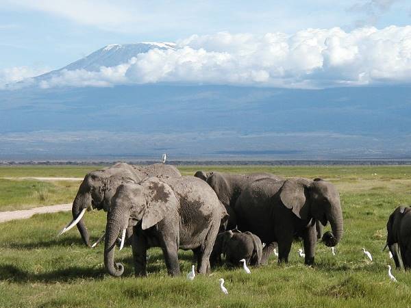 Voyage en Tanzanie