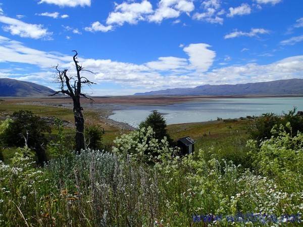 Viaje en Argentina