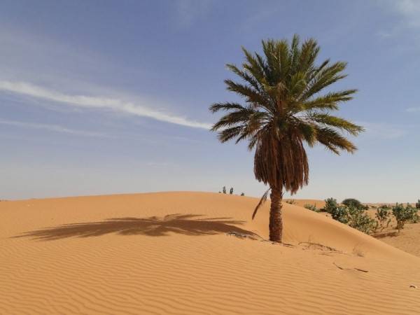 Viaje en Mauritania