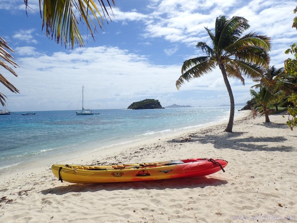 Petit Rameau， Tobago Cays， Grenadine， Caraibi