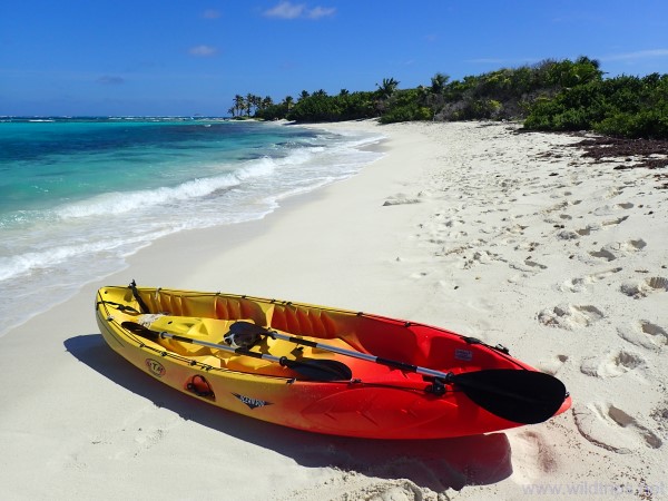 Kayak a Petit Tabac， Tobago Cays