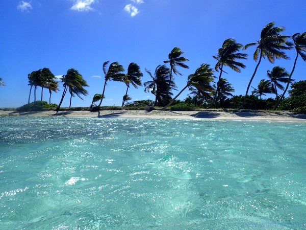 Petit Tabac， Tobago Cays