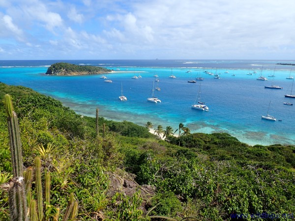 Panorama su Tobago Cays， Grenadine， Caraibi